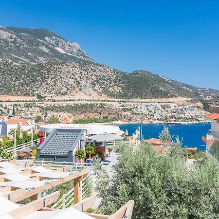 Saray (adults Only) Отель 4*